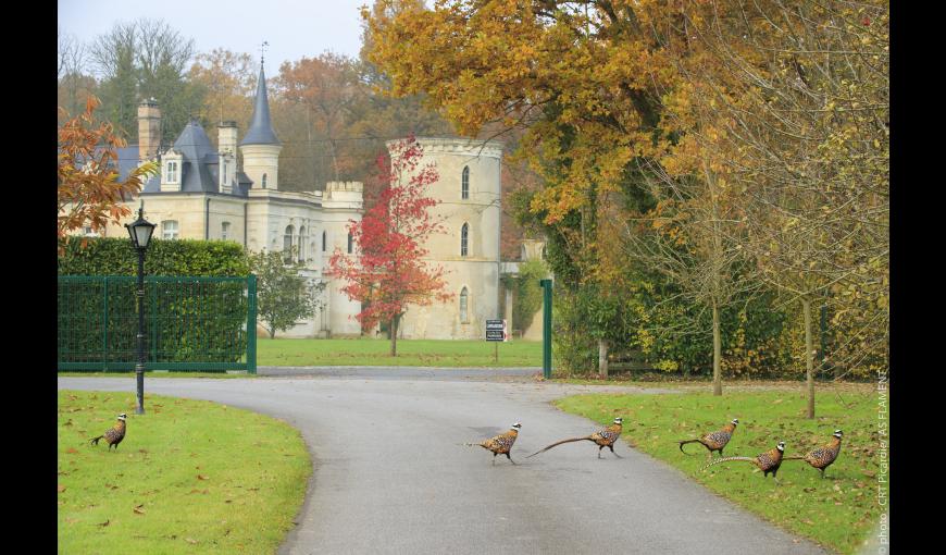 chateau de breuil, bruyeres et montberault