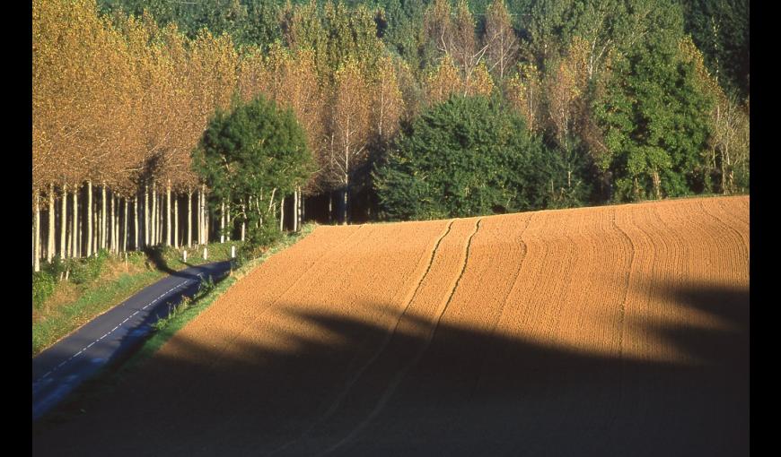 Un paysage vallonné