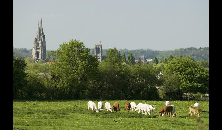 Vue sur Soissons