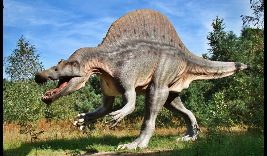 Exposition Le monde des dinosaures 2019 < Laon < Aisne < Hauts-de-France