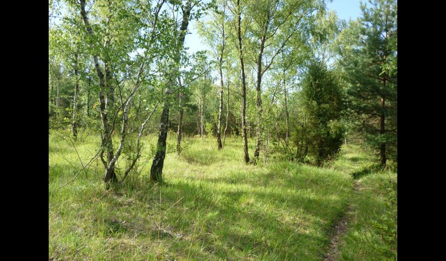 Sentier de la Gouverne Malade