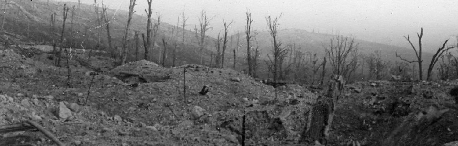 Paysage dévasté du Chemin des Dames, à proximité d'Hurtebise (Aisne)