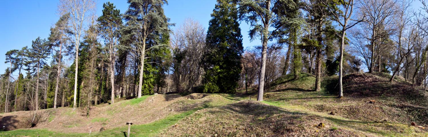 Vue panoramique de l'arboretum de Craonne (Aisne)