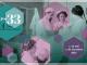 Conférences expo Dites 33 < Laon < Aisne < Hauts-de-France