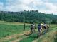 Laon_Cuve_Saint_Vincent