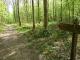 Forêt domaniale de Vauclair IV < Bouconville-Vauclair < Aisne < Picardie