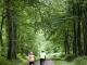 Velo en forêt de Saint Gobain