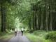 Velo en forêt de Saint Gobain