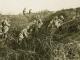 Photo de l'attaque du 16 avril 1917 près de la Ville-aux-Bois 