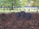 Cimetière allemand de Mons-en-Laonnois