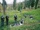 Photographie à l'arboretum de Craonne dans le cadre du projet pédagogique 2007-2008 en partenariat avec le Collège de Vailly-sur-Aisne et la Caverne du Dragon (Aisne)