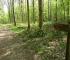 Forêt domaniale de Vauclair IV < Bouconville-Vauclair < Aisne < Picardie