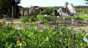 Jardin plantes médicinales < Vauclair < Aisne < Picardie