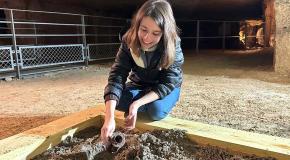 Atelier "archéologie" à la Caverne du Dragon