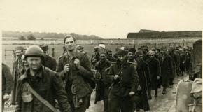 Colonne de prisonniers de guerre français, militaires des troupes motorisés au premier plan et militaires des troupes coloniales au second plan, mai-juin 1940