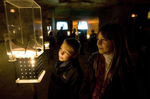Enfants regardant un objet de l'artisanat de tranchée dans la Caverne du Dragon-Musée du Chemin des Dames (Aisne) Enfants regardant un objet de l'artisanat de tranchée dans la Caverne du Dragon-Musée du Chemin des Dames (Aisne)