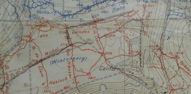 Carte des positions tenues par la 36e DI après l'assaut de mai 1917 Carte des positions tenues par la 36e DI après l'assaut de mai 1917