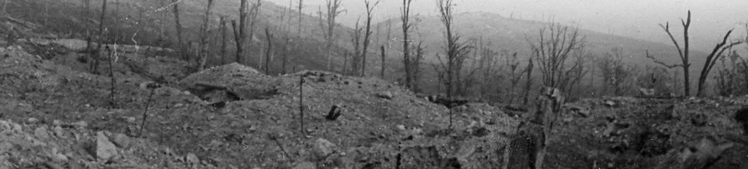 Paysage dévasté du Chemin des Dames, à proximité d'Hurtebise (Aisne)