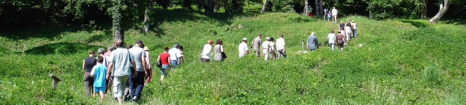 Visite thématique à l'arboretum de Craonne (Aisne).