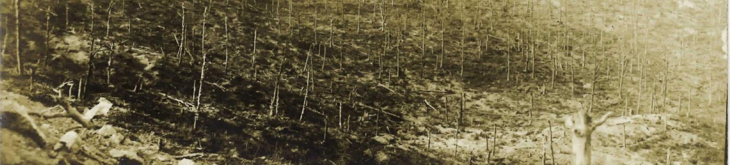 Le plateau de Craonne Winterberg en 1917