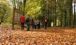 Ancien village de Craonne < Chemin des Dames < Aisne guerre 14-18 < WWI < Picardie < France Ancien village de Craonne < Chemin des Dames < Aisne guerre 14-18 < WWI < Picardie < France