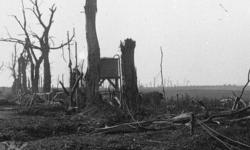 Le Chemin des Dames, l'état du terrain et un cimetière allemand en 1918