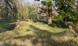 Vue panoramique de l'arboretum de Craonne (Aisne)