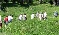 Visite thématique à l'arboretum de Craonne (Aisne).