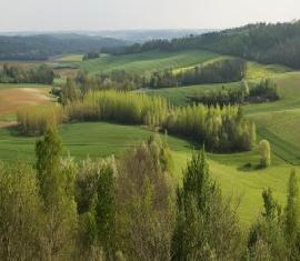 Chemin des Dames < Oulches-la-Vallée-Foulon < Guerre 14-18 < WWI < Aisne < Picardie < France