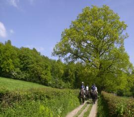 A cheval le long de la vallée de l'Aisne