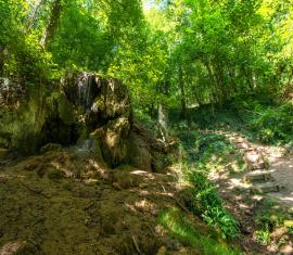 Cascade de Roucy