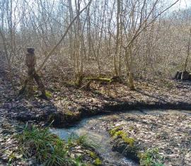 Land'art en chemin