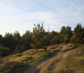 Site de la Pierre Frite