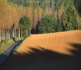 Un paysage vallonné