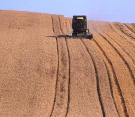 Moisson dans le Soissonnais