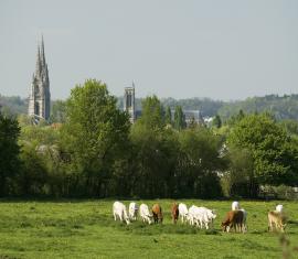 Vue sur Soissons